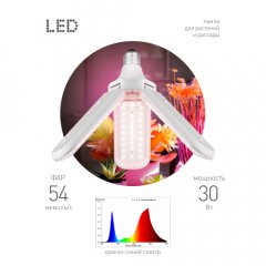 Фитолампа для растений светодиодная ЭРА GREEN LINE ФИТО-30W-PL-E27-GR 3-х лепестковая красно-синего