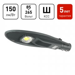 Светильник уличный светодиодный ЭРА SPP-5-60-5K-W 60Вт 5000К IP65 КСС Ш гарантия 5 лет