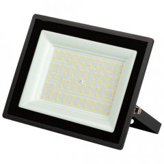 Прожектор светодиодный уличный ЭРА LPR-023-0-40K-070 70Вт 5600лм 4000K КСС Д 120° 2 года IP65 черный