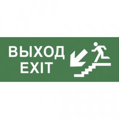 Самоклеящаяся этикетка ЭРА INFO-SSA-109 330х120мм  Выход/лестница вниз/фигура  SSA-101/DPA-301