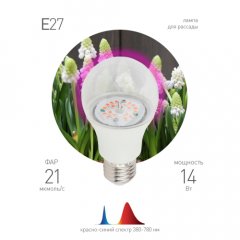 Фитолампа для растений светодиодная ЭРА FITO-14W-RB-E27-K красно-синего спектра 14 Вт Е27