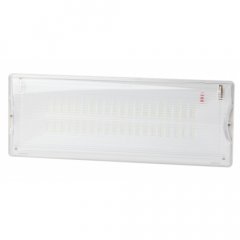 Аварийный светильник светодиодный ЭРА DPA-301-1-65 постоянный/непостоянный 40LED 3ч IP65