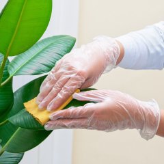 402-639 Перчатки виниловые, неопудренные, .L, 100шт. в уп., AVIORA