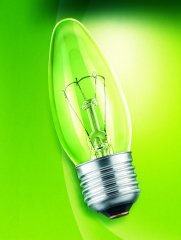 Лампа накаливания ДС 230-60 Е27(100)