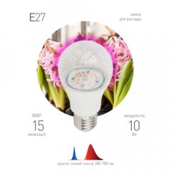 Фитолампа для растений светодиодная ЭРА FITO-10W-RB-E27-K красно-синего спектра 10 Вт Е27